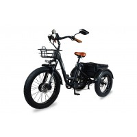 Трехколесный электровелосипед Minako Trike